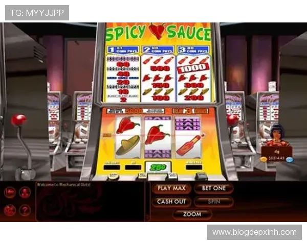 探索霍伊尔角子机游戏的最新趋势与发展方向，掌握未来游戏新机遇