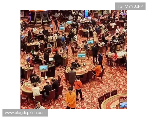 老虎机现金官网多平台兼容支持，无论手机还是电脑都能畅玩无阻，随时随地享受娱乐