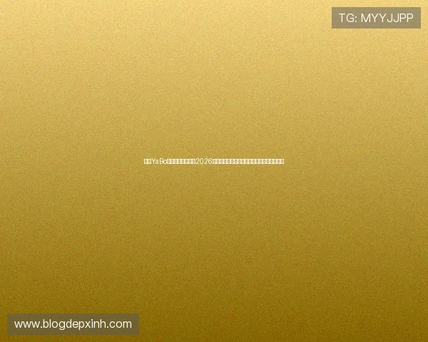 亚博YaBo真人国际深度解读2026世界杯足球比赛中的明星球员表现与战术亮点
